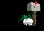 That's a rabbit under the mailbox...
